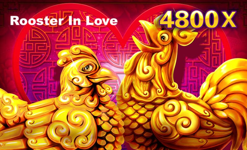 Rooster In Love