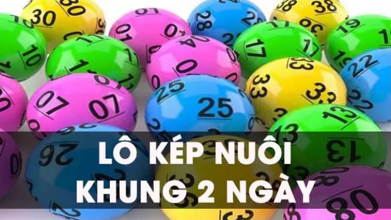 Nuôi lô kép khung 2 ngày