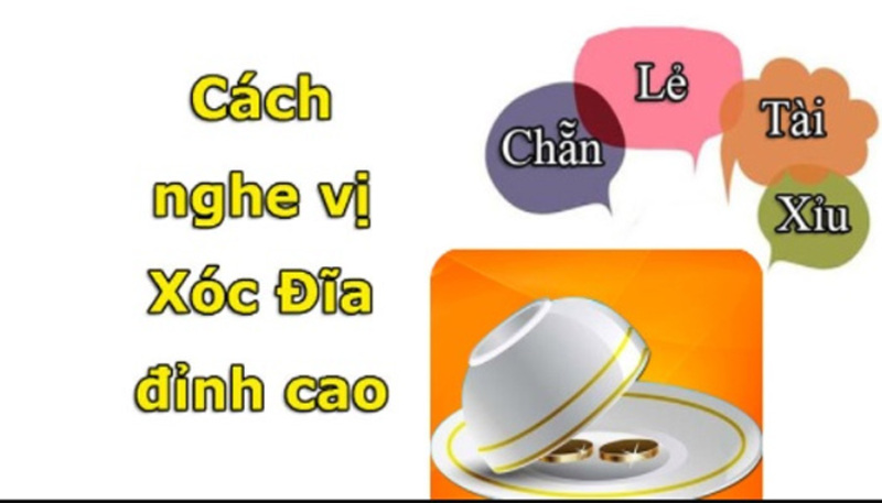 Tìm hiểu thông tin về cách nghe vị xóc đĩa