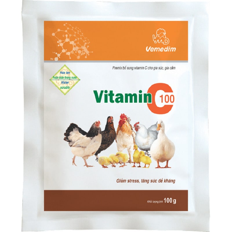 Sư kê chủ động bổ sung các loại vitamin và thuốc bổ cho chiến kê