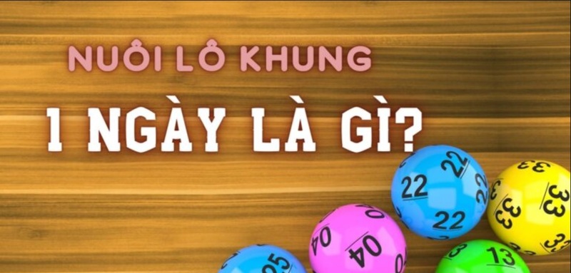 nuôi lô khung 1 ngày