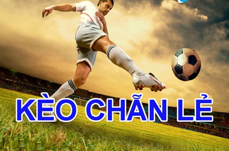 Kèo cá độ theo chẵn lẻ