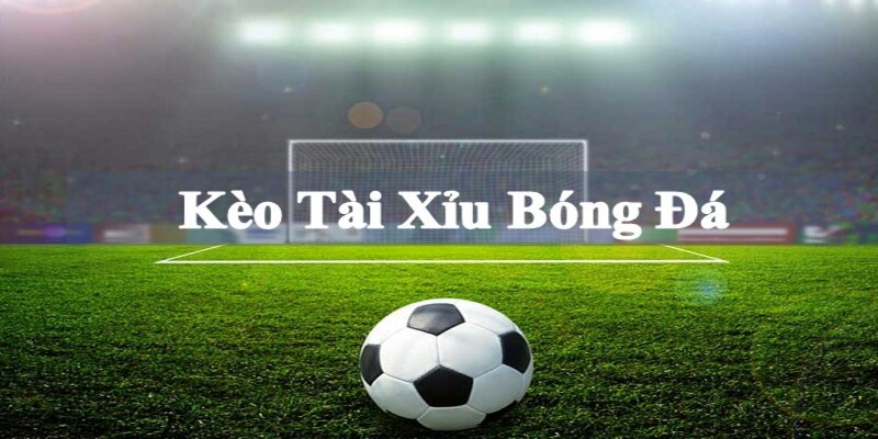 Khám phá tỷ lệ trả thưởng mà nhà cái cung cấp