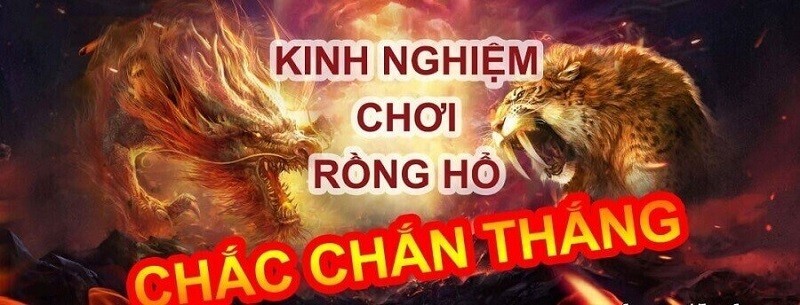 Bỏ túi cách chơi rồng hổ luôn thắng thông qua chiến thuật gấp thếp