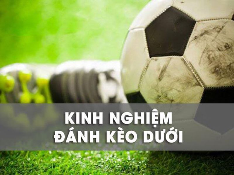 Lưu ý lại những kinh nghiệm này để chơi tốt hơn