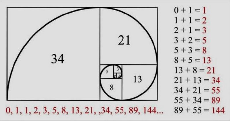 Fibonacci là gì?