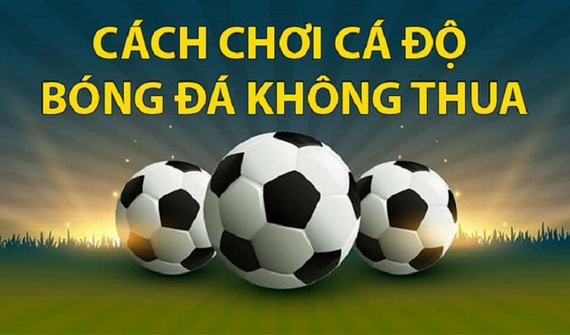 Cách chơi để luôn chiến thắng khi cá độ bóng đá