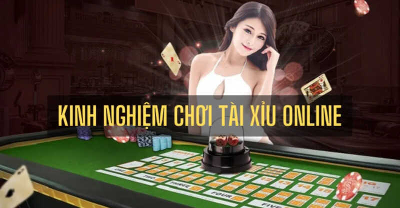 Thuần thục quy tắc đặt cược giúp tân thủ thắng lớn