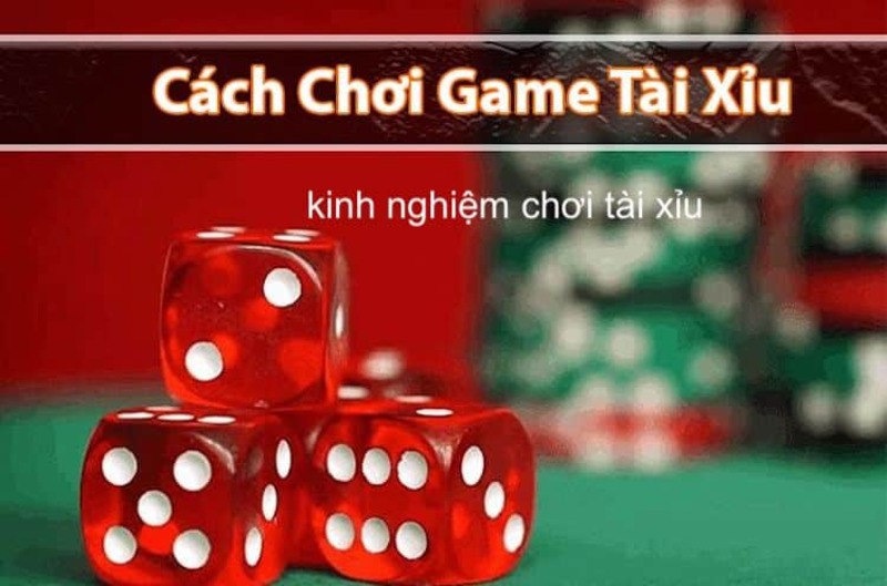 Tìm thấy quy luật về của tài xỉu giúp tân thủ thắng lớn