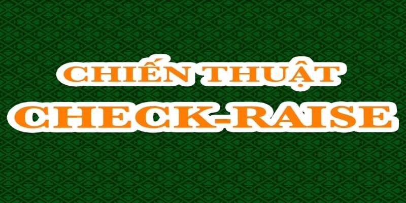 Bỏ túi kinh nghiệm chơi check raise trong poker tuyệt đỉnh