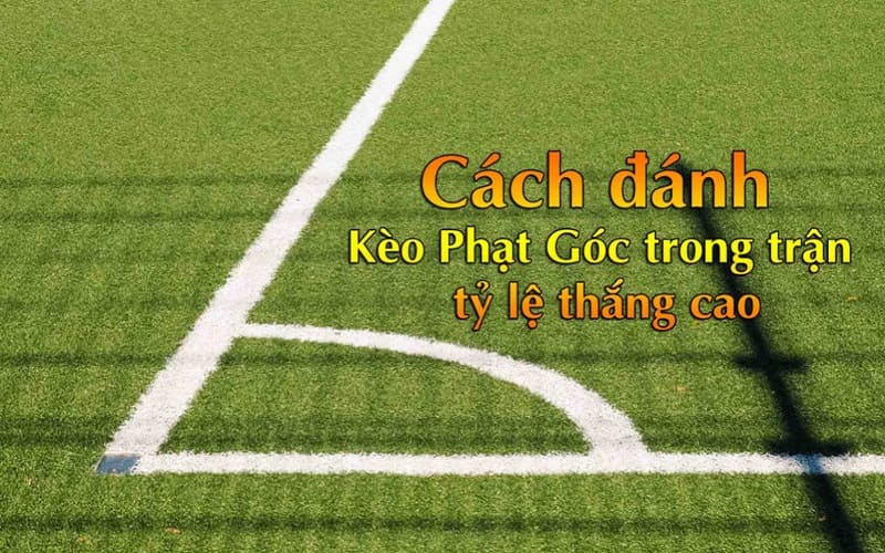 Kinh nghiệm vàng cao thủ dành cho người chơi mới